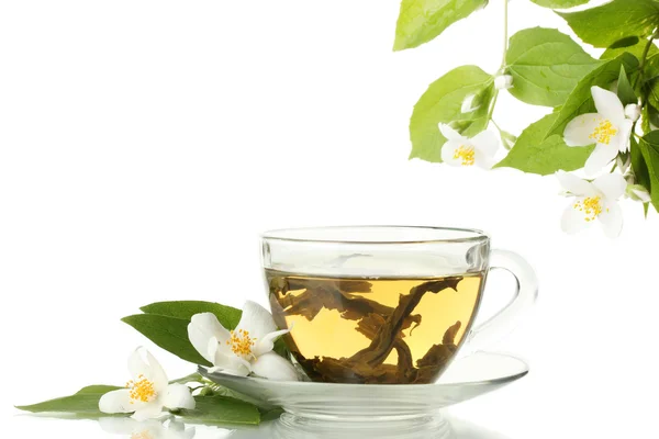 Taza de té verde con flores de jazmín aisladas en blanco —  Fotos de Stock