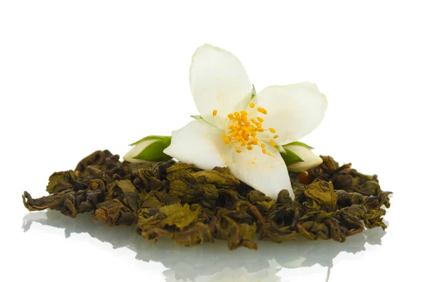 stock image Beautiful jasmine flower and dry green tea isolated on white