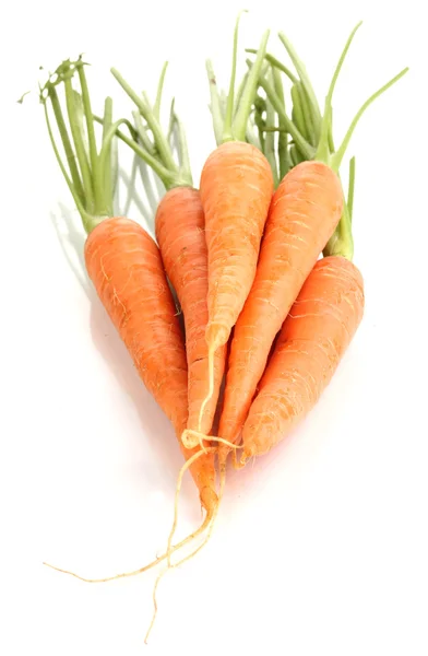 Καρότα απομονωμένα σε λευκό — Φωτογραφία Αρχείου