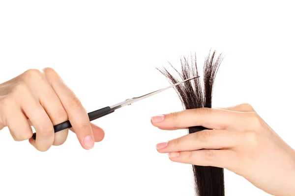 Glänzendes braunes Haar in den Händen des Friseurs isoliert auf weiß — Stockfoto