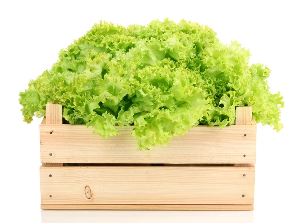 Fresh lettuce in crate isolated on white — Stock Photo, Image
