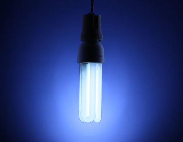 Une ampoule à économie d'énergie éclairée sur fond bleu — Photo