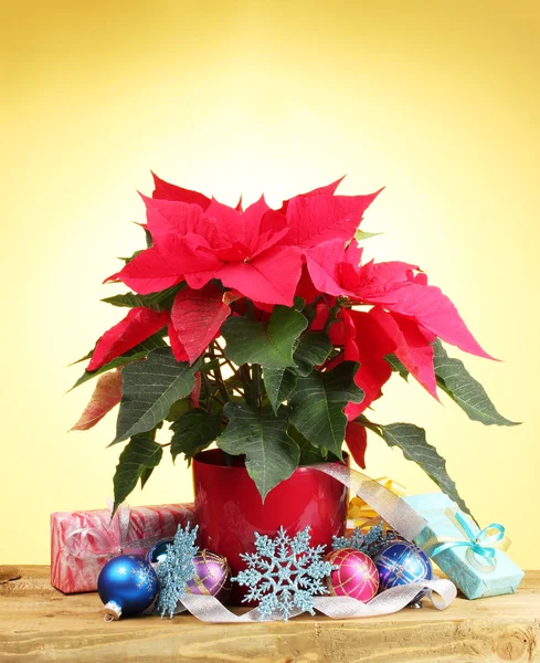 Bela poinsettia com bolas de Natal e presentes na mesa de madeira no fundo amarelo — Fotografia de Stock