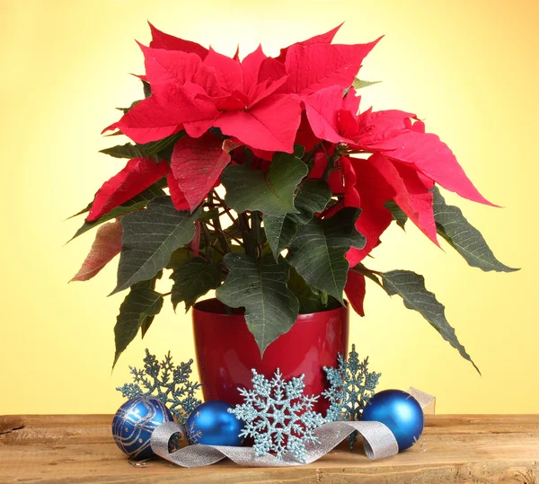 Beautiful poinsettia with christmas balls on wooden table on yellow background — Stock Photo, Image