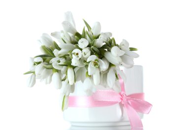 Beautiful bouquet of snowdrops in vase with bow isolated on white clipart