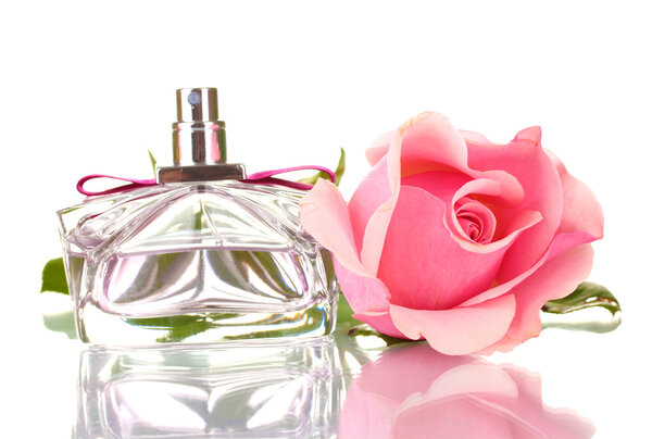 Perfume bottle and pink rose isolated on white