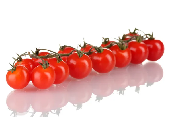 Hermosos tomates cherry en una rama aislada en blanco — Foto de Stock