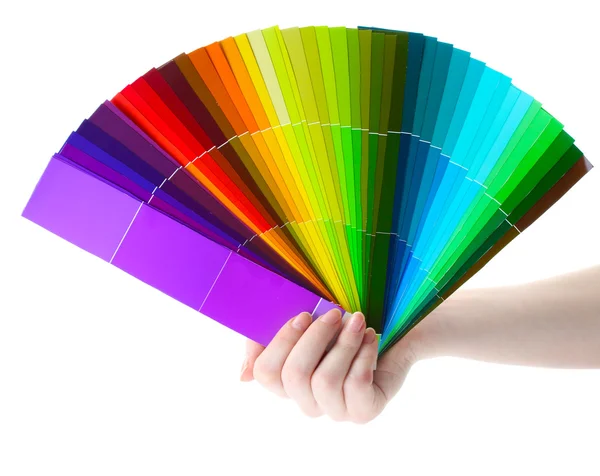 Ruka držící světlé paletu barev, izolované na bílém — Stock fotografie