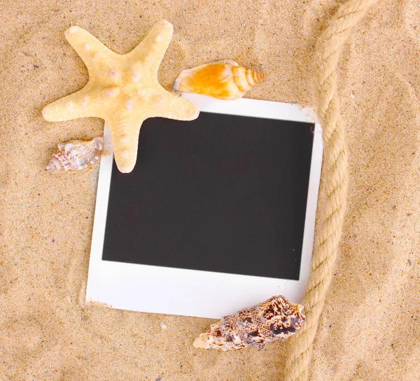Foto mit Muscheln und Seesternen auf Sand — Stockfoto