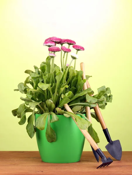 Rózsaszín virágok a bankot a fából készült asztal zöld háttér eszközök — Stock Fotó