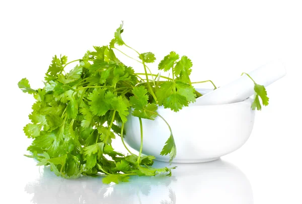 Cilantro en un mortero y mortero aislado en blanco — Foto de Stock