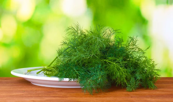 Dill in a white plate on green background — Stock Photo, Image