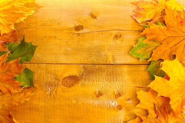 stock image Dry autumn maple leaves on wooden background