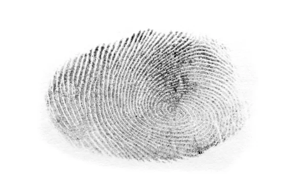 Fingerprint isolerad på vit — Stockfoto