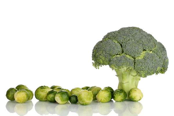 Taze Brüksel lahanası ve brokoli üzerine beyaz izole — Stockfoto