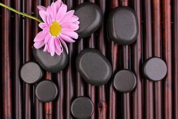 Wellnesssteine und Blume auf Bambusmatte — Stockfoto