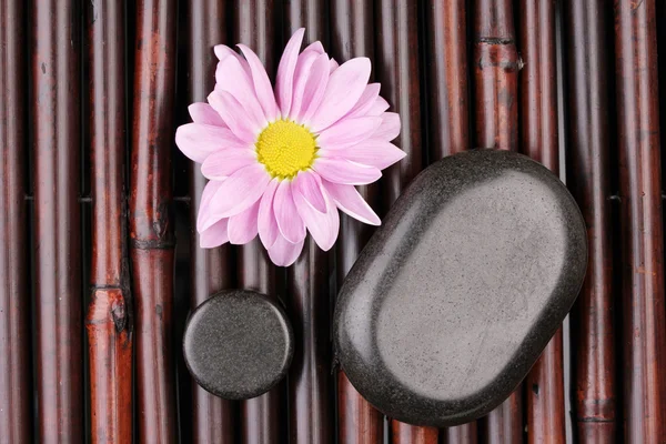 Спа камені і квітка на бамбуковому килимку — стокове фото