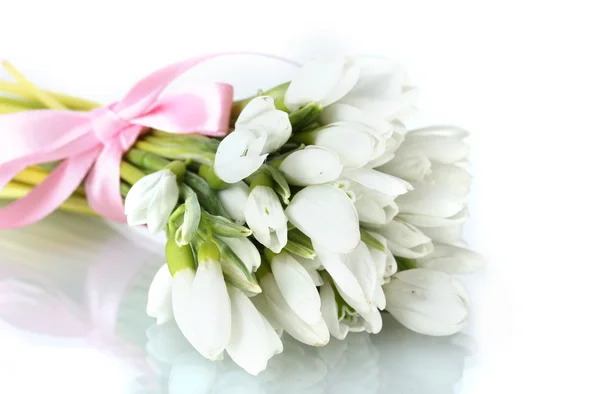 Krásnou kytici sněženky izolovaných na bílém — Stock fotografie