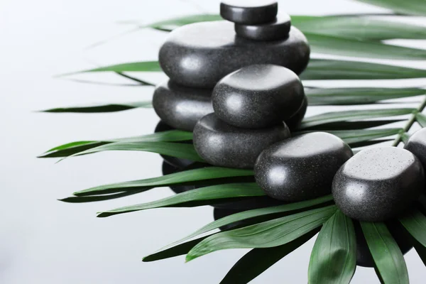 Wellness kameny na zelené Palmový list na šedém pozadí — Stock fotografie