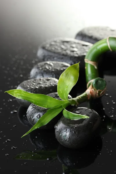 Wellness-Steine mit Tropfen und grünem Bambus auf grauem Hintergrund — Stockfoto