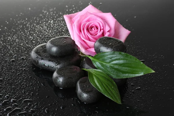 Pedras de spa com gotas, rosa rosa e folhas verdes sobre fundo cinza — Fotografia de Stock