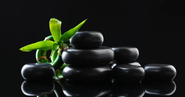 Wellness-Steine und grüner Bambus auf grauem Hintergrund — Stockfoto