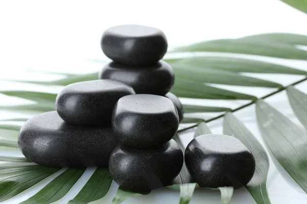 Wellness kameny na zelené Palmový list izolované na bílém — Stock fotografie