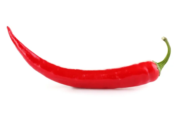 Красный острый перец чили, выделенный на белом — стоковое фото