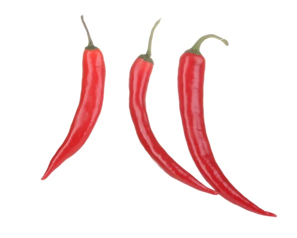 stock image Red hot chili peppers isolated on white