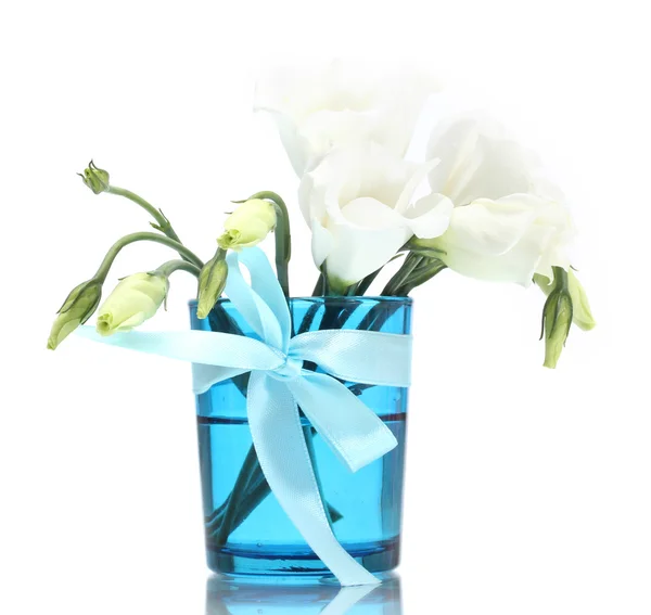 Beautiful spring flowers in blue vase isolated on white — Stock Photo, Image