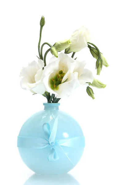 Schöne Frühlingsblumen in der Vase isoliert auf weiß — Stockfoto