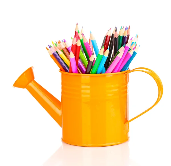 Crayons de couleur dans l'arrosoir isolé sur blanc — Photo