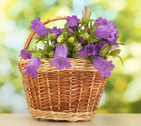 Flores de campana azul en cesta sobre mesa de madera sobre fondo verde —  Fotos de Stock