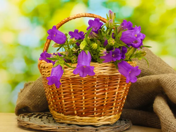 Blue bell flowers in basket and burlap fabric on wooden table on green background — Stock Photo, Image