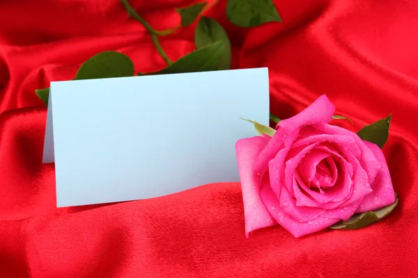 Bella rosa su panno rosso — Foto Stock
