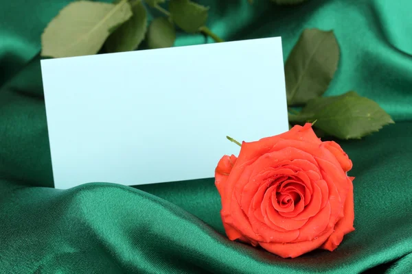 Beautiful rose on green cloth — Stock Photo, Image