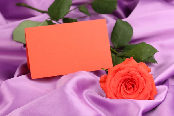 Schöne Rose auf fliederfarbenem Tuch — Stockfoto