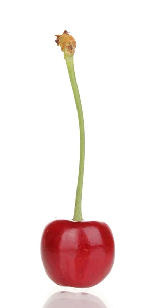 Rijp cherry berry geïsoleerd op wit — Stockfoto