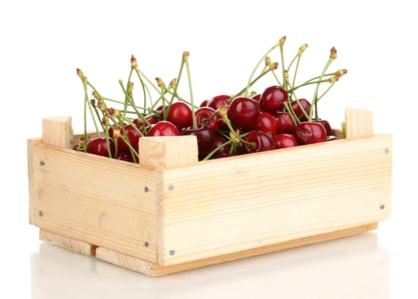Maturare bacche di ciliegia in cassa isolata su bianco — Foto Stock