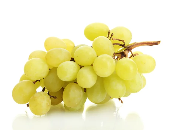 Rijp groene druiven geïsoleerd op wit — Stockfoto