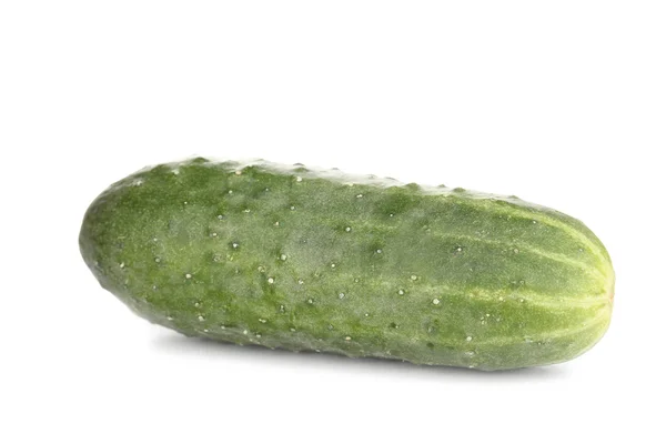 Komkommer geïsoleerd op wit — Stockfoto