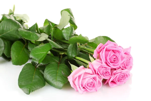 Πολλές ροζ τριαντάφυλλα που απομονώνονται σε λευκό — Φωτογραφία Αρχείου