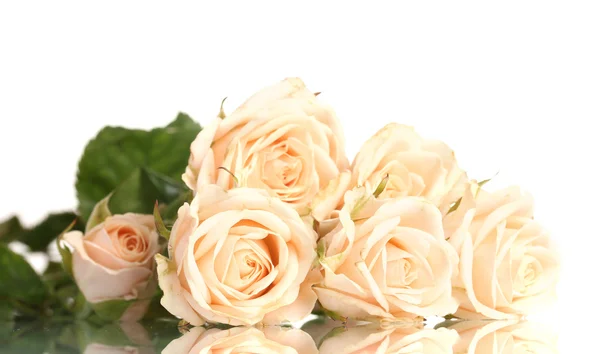 Buquê de rosas brancas isoladas em branco — Fotografia de Stock
