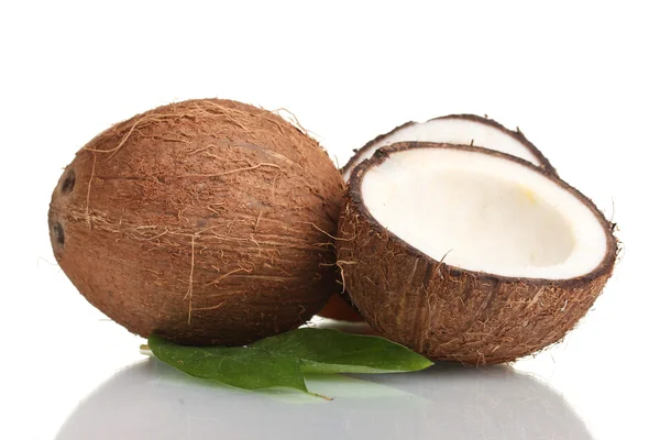 Verse kokosnoot geïsoleerd op wit — Stockfoto