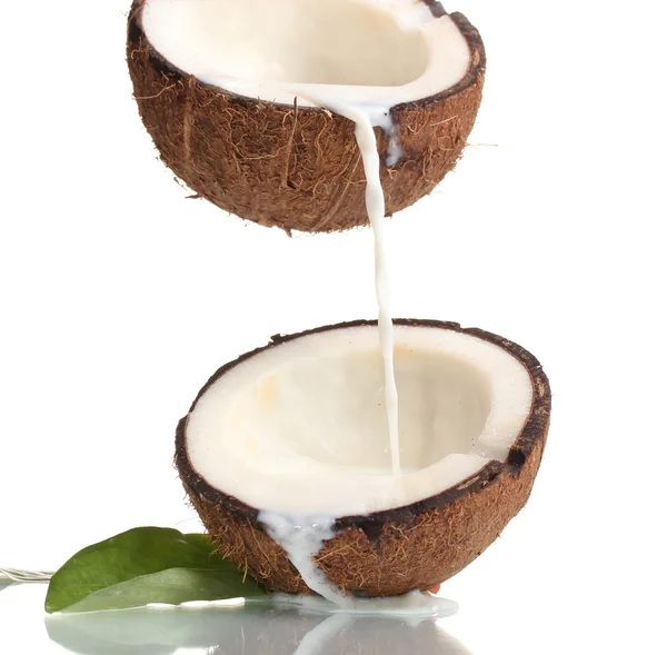 Coco com leite de coco isolado sobre branco — Fotografia de Stock