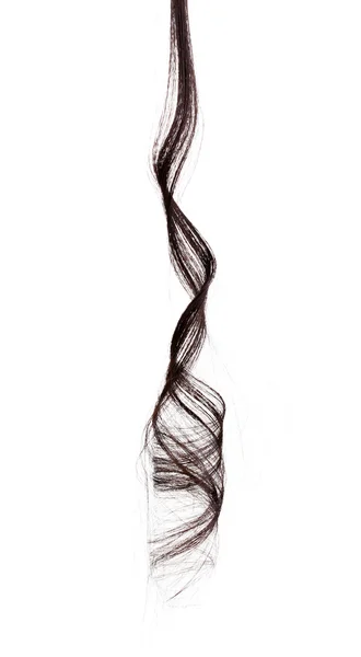 Brązowe włosy kręcone na białym tle — Zdjęcie stockowe