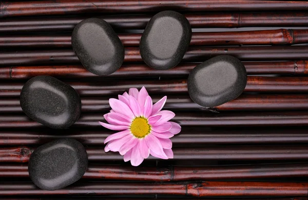 Spa taş ve çiçek bambu hasır üzerinde — Stok fotoğraf