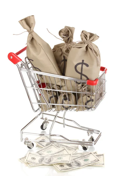 Bags with money in trolley isolated on white — Stock Photo, Image