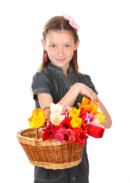 Portrait of beautiful little girl with tulips in basket isolated on white — Stock Photo, Image