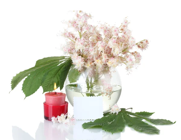 Skład wazon kasztany jadalne kwiaty, świeczkę i Uwaga na kolorowe tło — Zdjęcie stockowe